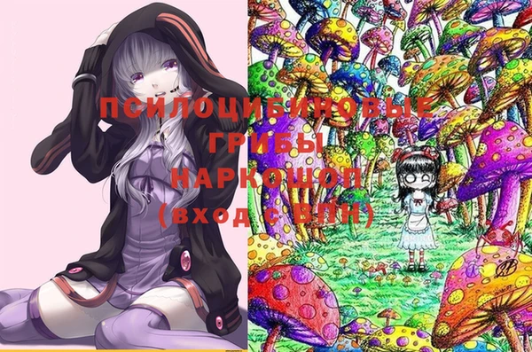 мет Абаза