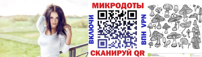 наркошоп  Елизаветинская  Псилоцибиновые грибы MAGIC MUSHROOMS 