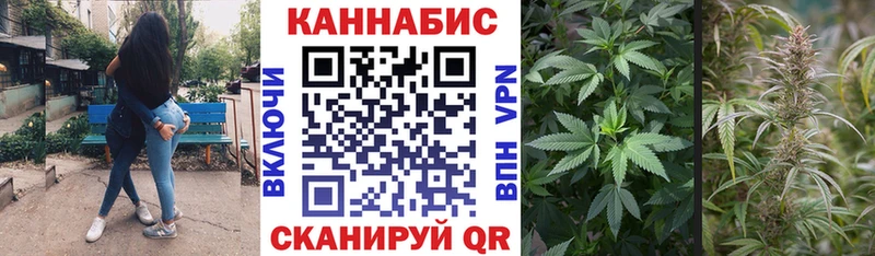Шишки марихуана план ОМГ ОМГ Елизаветинская